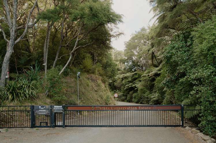 201 Kokako Heights Matata_7