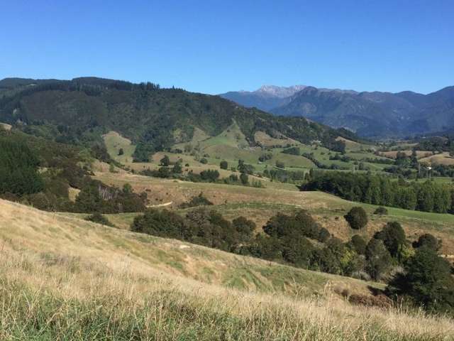 35 Thorpe-Orinoco Road Ngatimoti_4