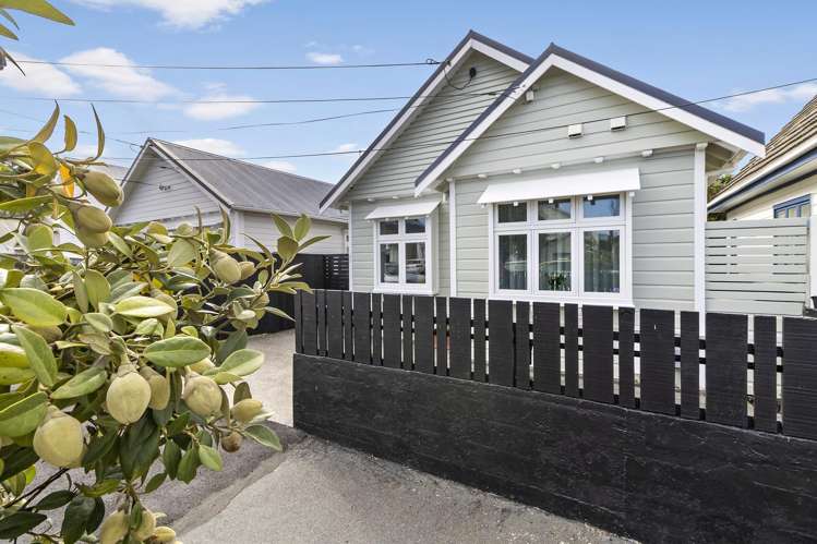 59 Endeavour Street Lyall Bay_4