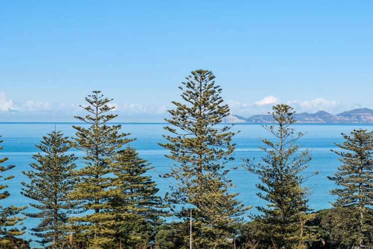 16 Brewster Street Bluff Hill_33