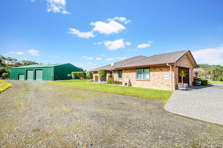 71 Potter Road Dairy Flat_29