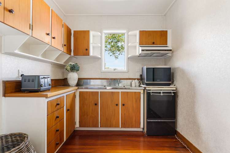 94 Ara-Kotinga Whitford_22