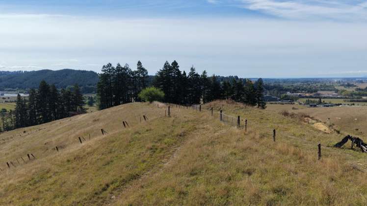 78 Teapot Valley Road Brightwater_12