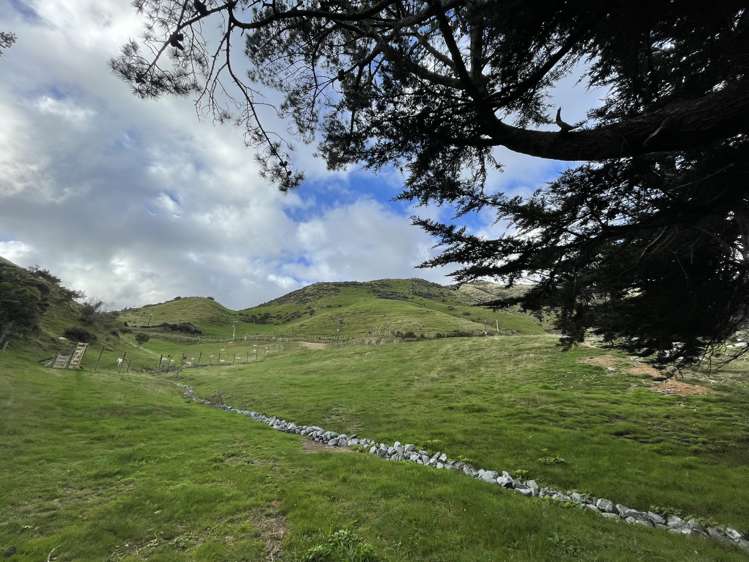 340 South Makara Road Makara_8