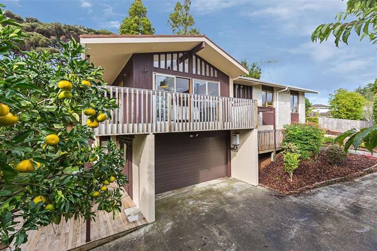 23 Heaton Grove Chatswood_17