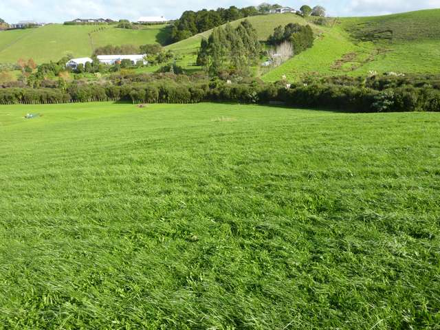 Address withheld Matakana_1