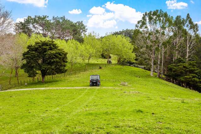 The Farmhouse I Quintal Road Matakana_4