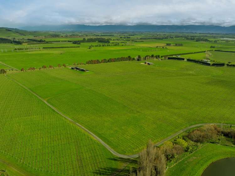 Lot 3 Willow Lane Martinborough_8