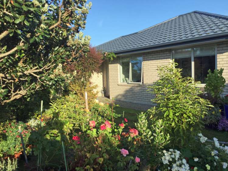 10 Ashley Drive Paroa_16