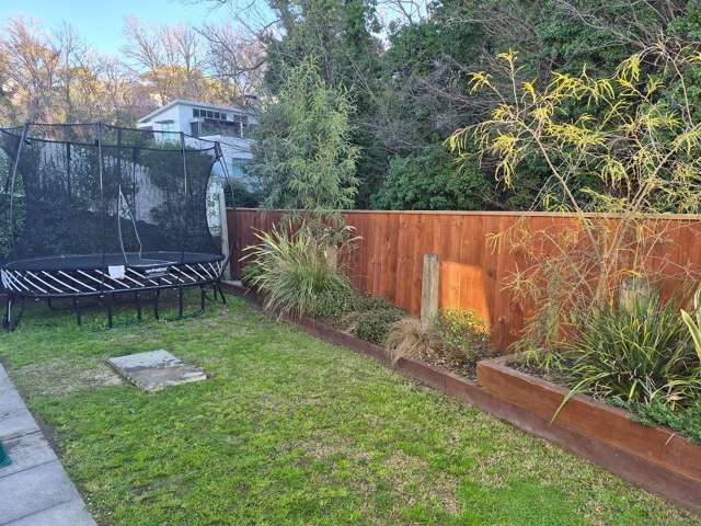 1 Cameron Road Bluff Hill_2