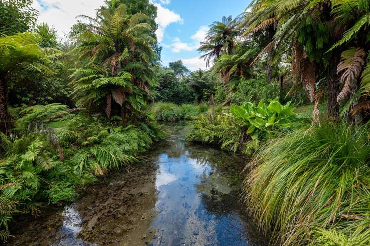 165 Fairy Springs Road Fairy Springs_12