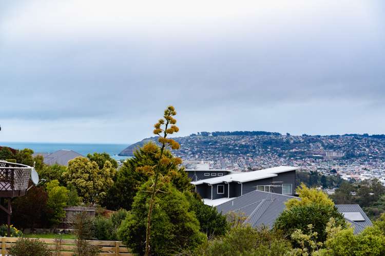 251 Highcliff Road Shiel Hill_34