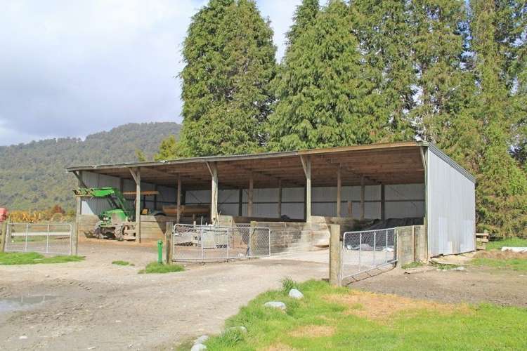 Waiho Flat Road Franz Josef Glacier_13