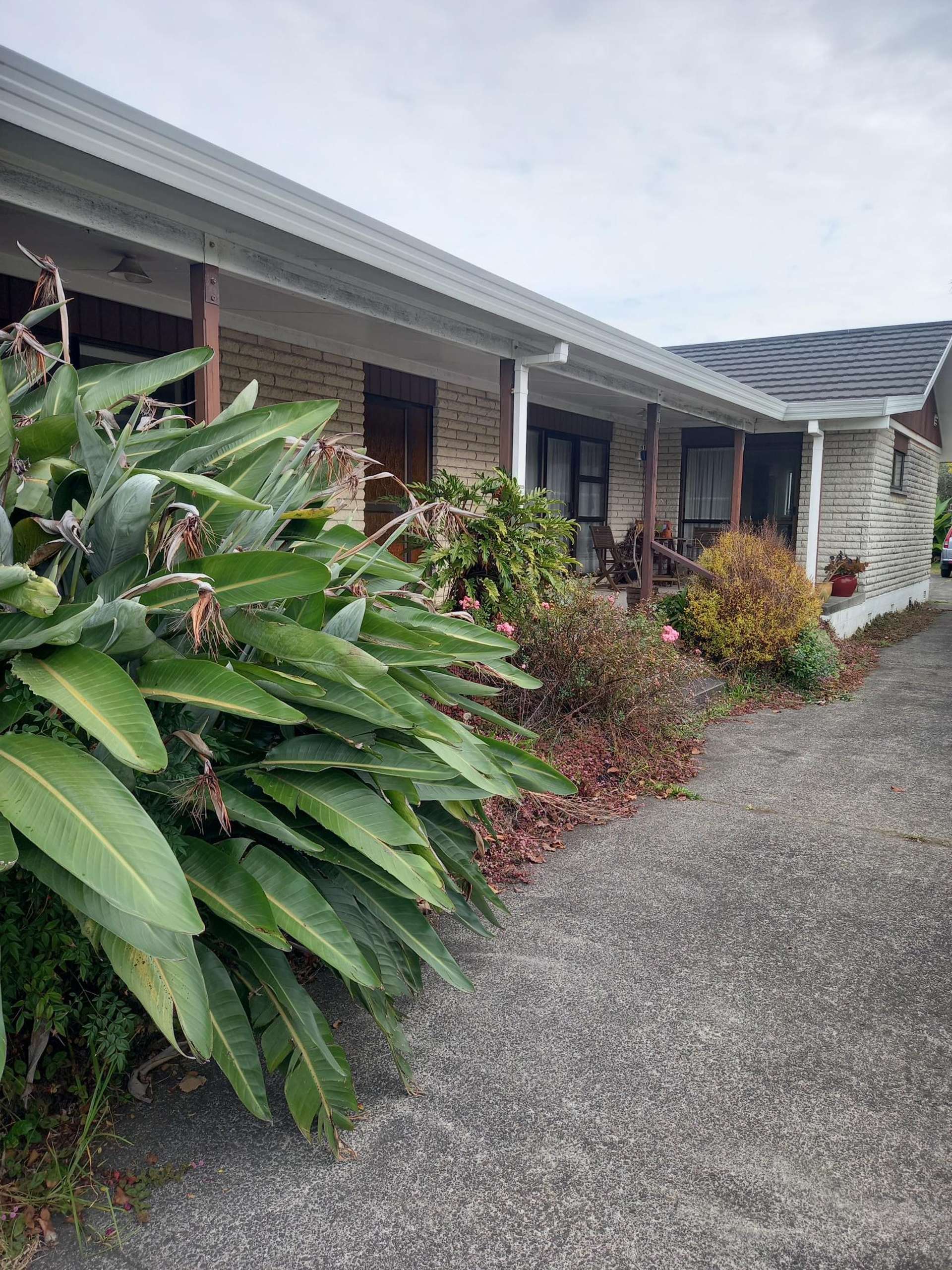 301 Main Road Tairua_0