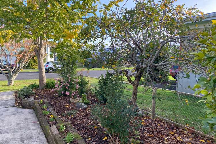 14 Willoughby Street Paeroa_16
