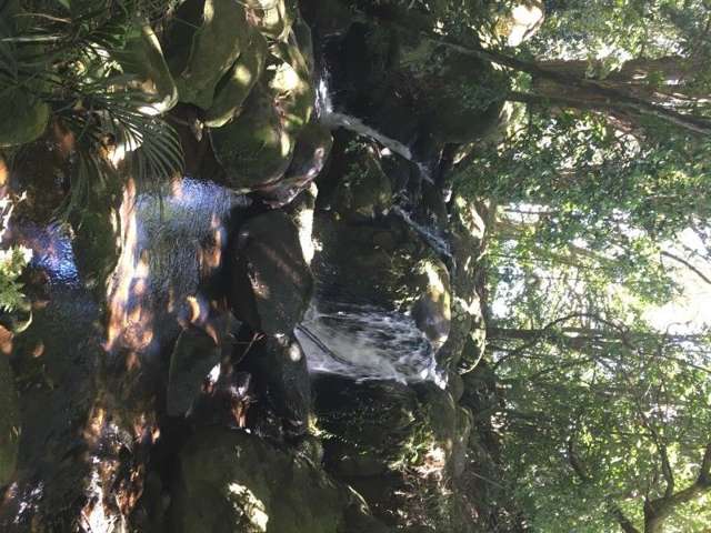 403 Te Ahu Ahu Road Waimate North_4