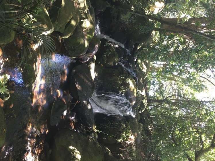 403 Te Ahu Ahu Road Waimate North_4