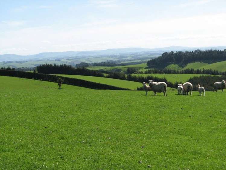 143 Gordon Road Balclutha_11