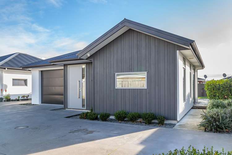 19A Trafalgar Street Levin_13