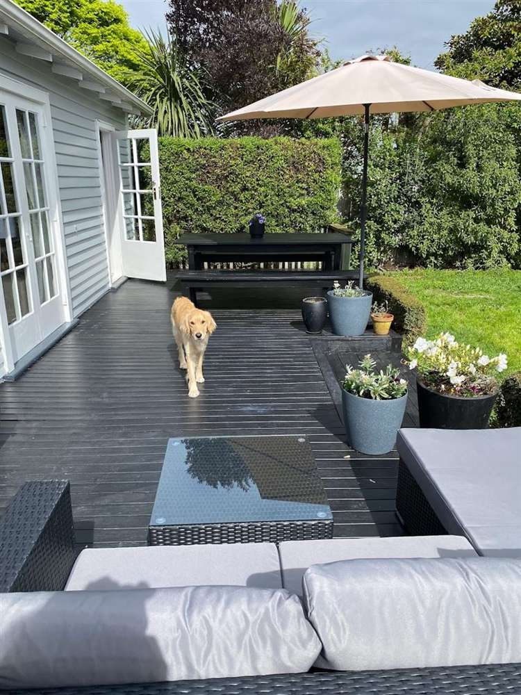 55 Bletsoe Avenue Spreydon_17