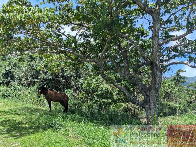 Address withheld Taveuni_2