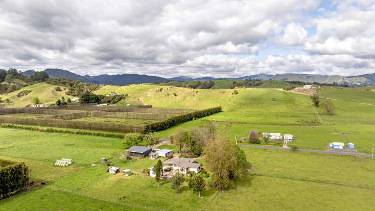 473 Otara Road Opotiki Surrounds_23