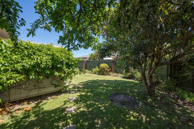 12 Chandler Street Tahunanui_3