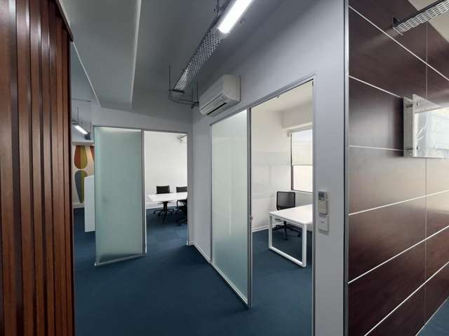 7 Windsor Street Parnell_3