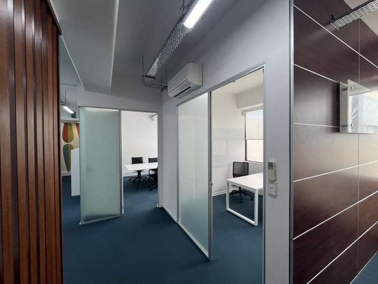 7 Windsor Street Parnell_3