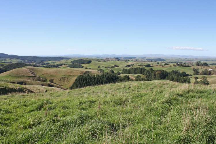 176 Flag Range Road Sherenden_4