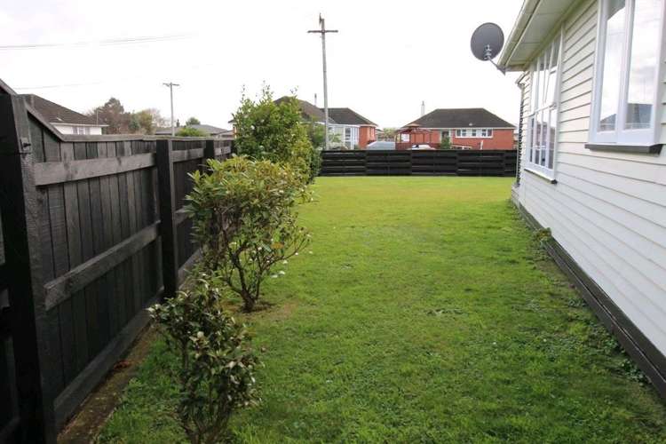 20 Ward Street Bulls_6