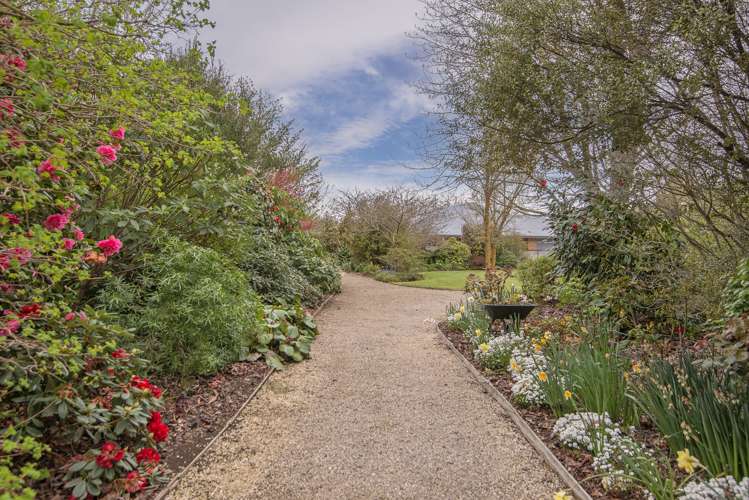 252 O'Roarkes Road Fernside_24