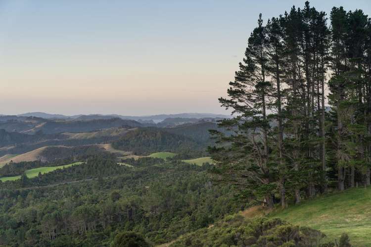 50b Paul Road Tairua_49