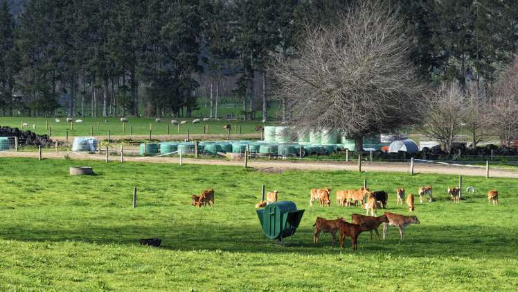 57 Ohutu Road Galatea_16