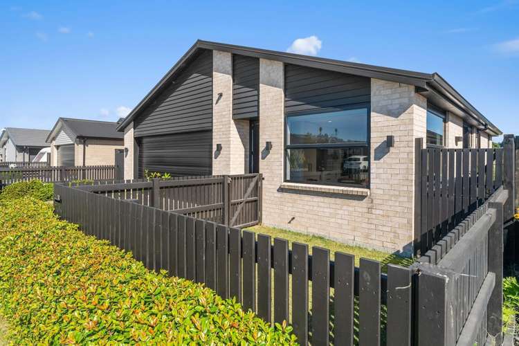 11 Hinaki Street_1