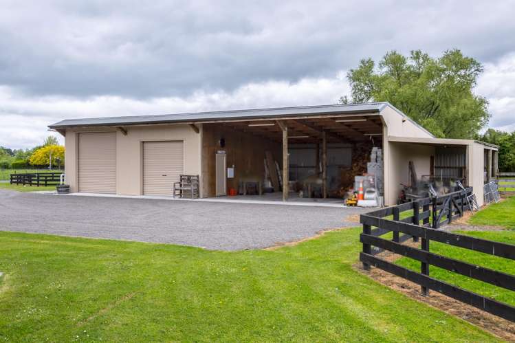 53 Jellicoe Street Greytown_20