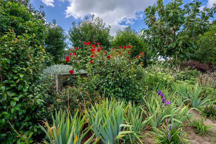 26 Meadowgreen Drive Tamahere_38