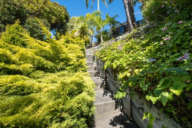 61 Napier Terrace Hospital Hill_17