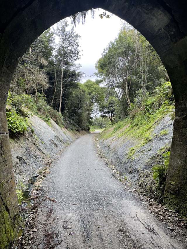 Manuka Gorge Highway Waitahuna_2