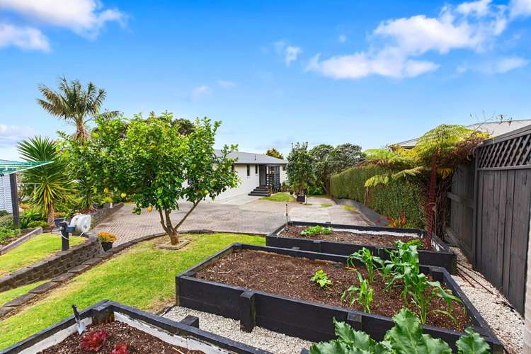 1 Tamahika Street Hairini_11