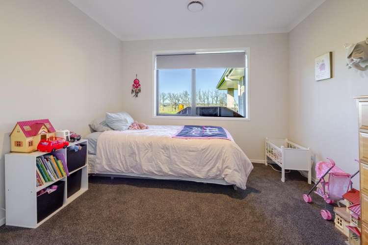 3A JG Wilson Drive Waipukurau_16