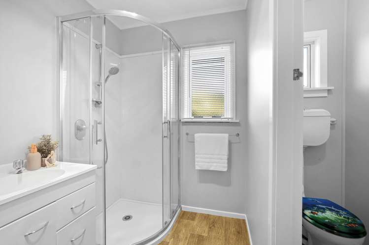 18d Saxton Road Upper Vogeltown_10