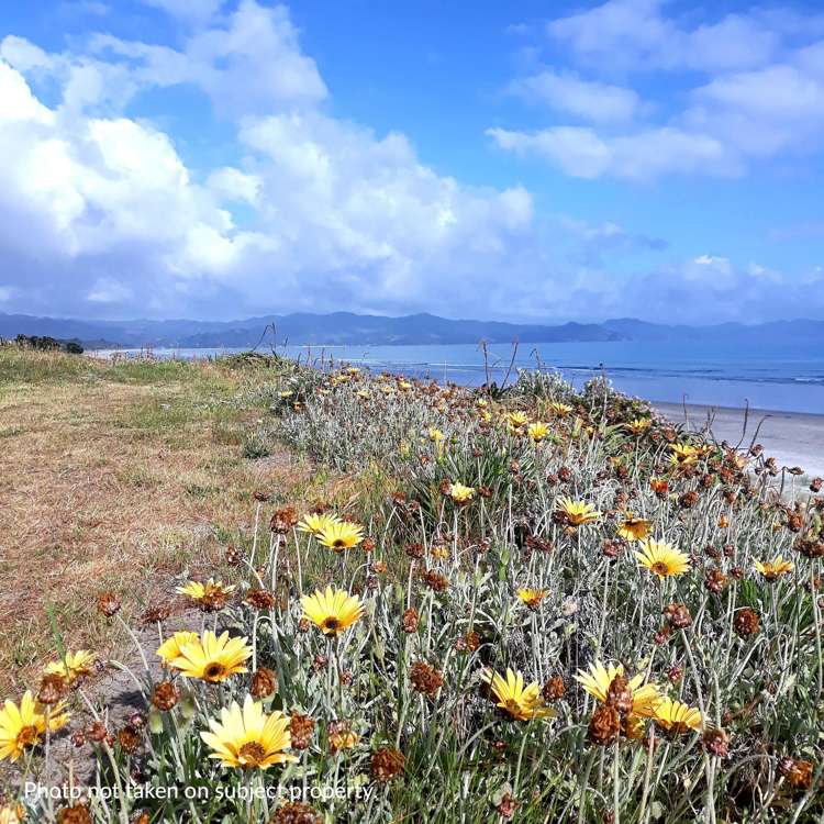 111 Kenwood Drive Matarangi Beach_15