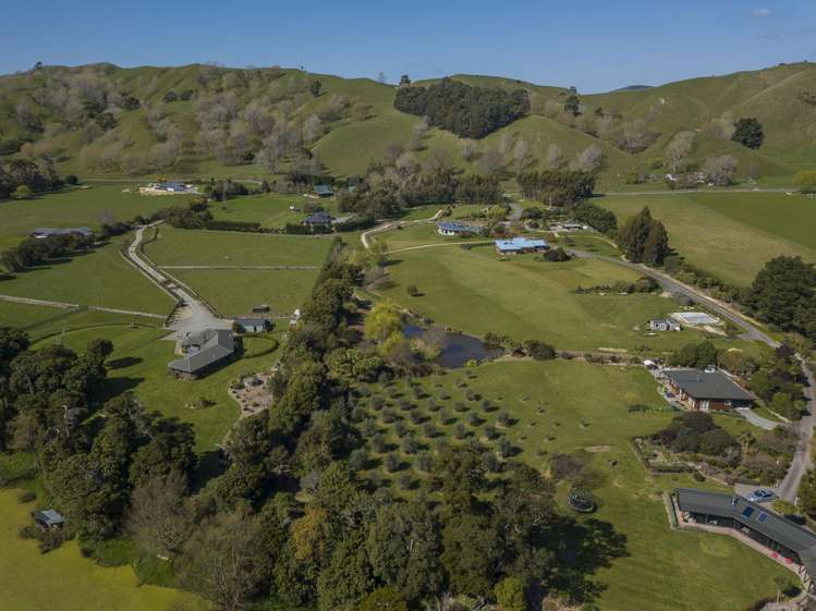 672a Te Whiti Road Te Whiti_17