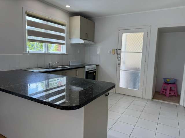 94 Webster Avenue Mt Roskill_2