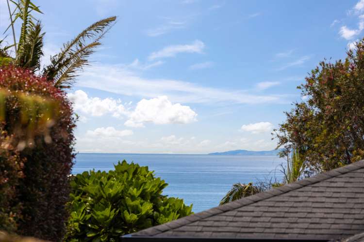 20 Ascot Way Orewa_2