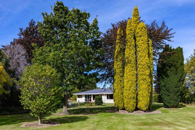 77 Colemans Road Springlands_22