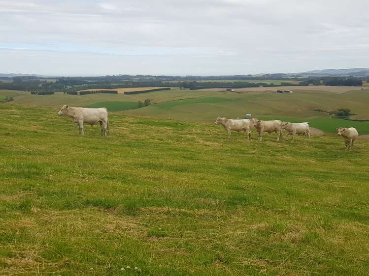 31 Whitiker Road Clinton and Surrounds_7