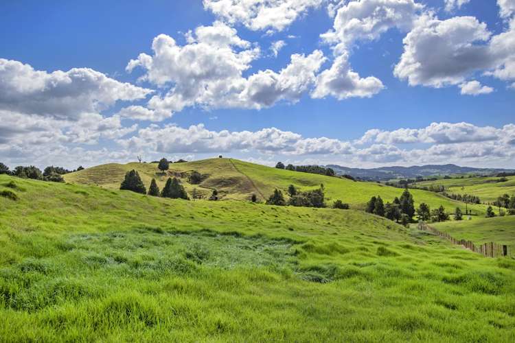 Lot 1 Oetzman Rd Hikurangi Rd2_20