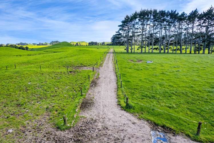 677 Newall Road Newall_25